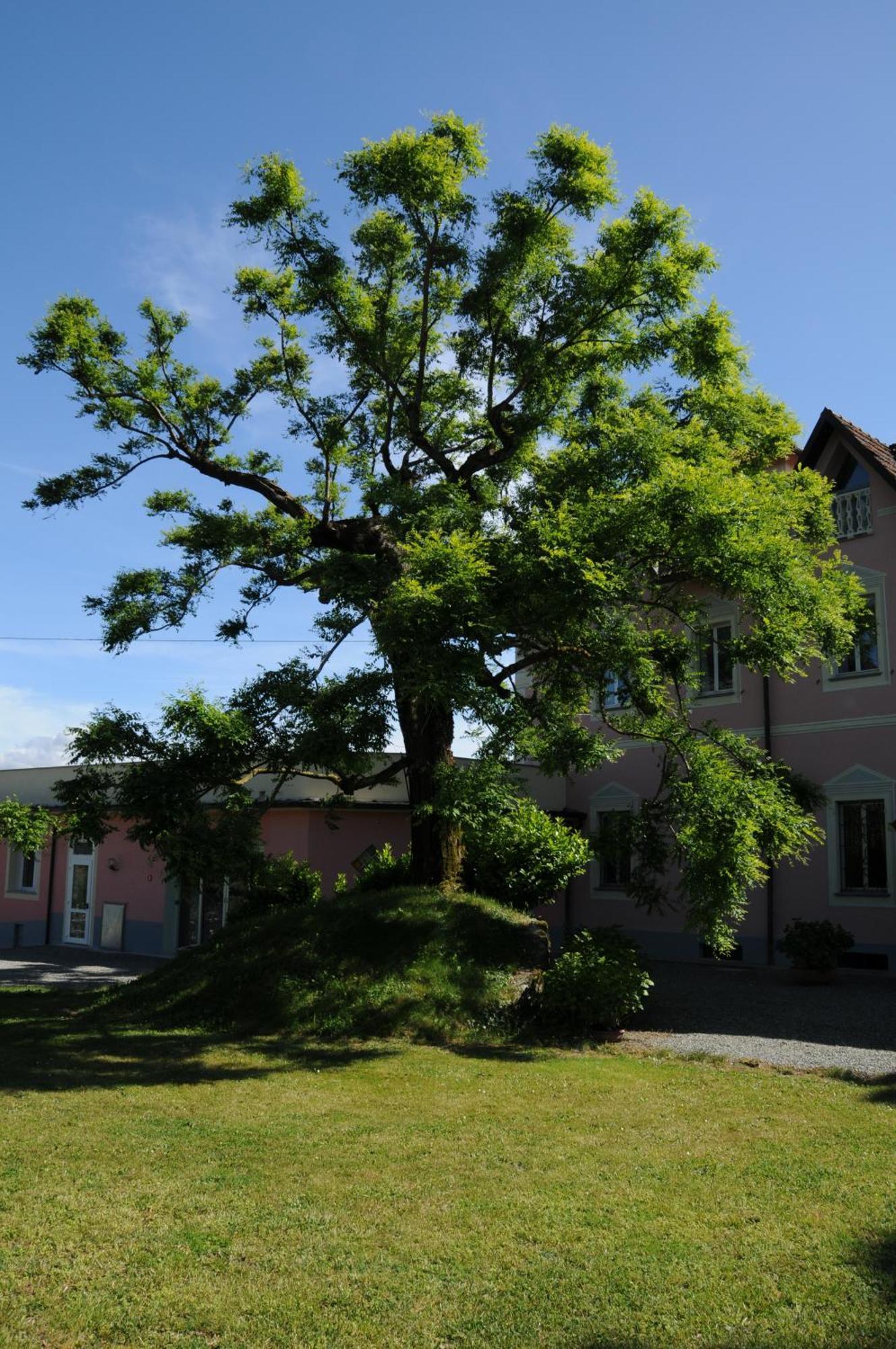 Tagliolo Monferrato Villa Ester מראה חיצוני תמונה